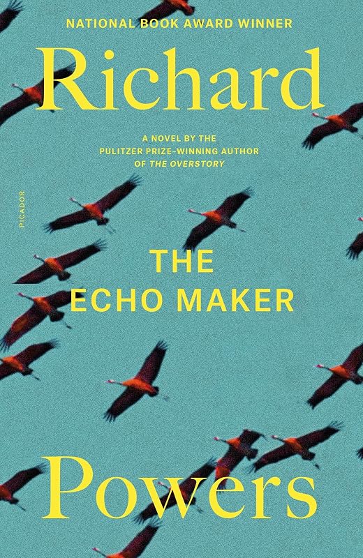 Cover of The Echo Maker